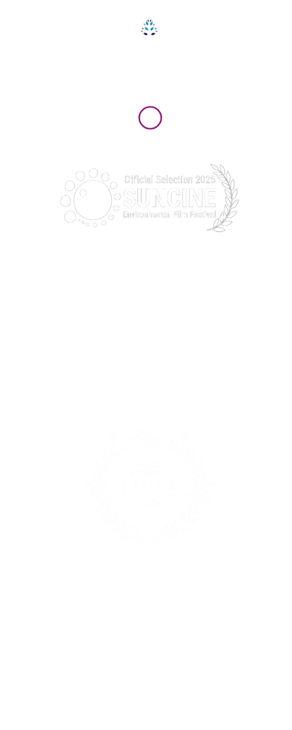 Awards received by the Seantience documentary