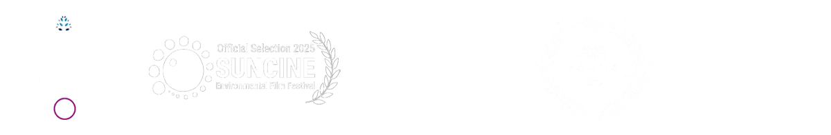 Awards received by the Seantience documentary